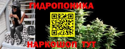 apvp Кунгур