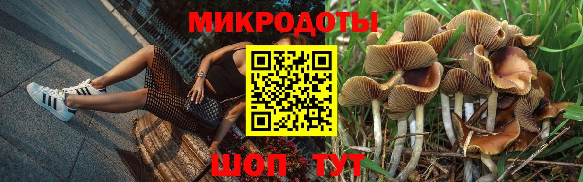 Псилоцибиновые грибы Magic Shrooms Зерноград