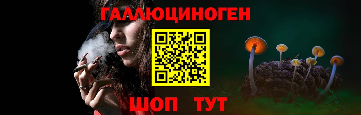Зерноград  Галлюциногенные грибы GOLDEN TEACHER  Вход с VPN 